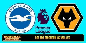 Soi kèo Brighton vs Wolves, 21h00, 09/05, EPL vòng đấu 36